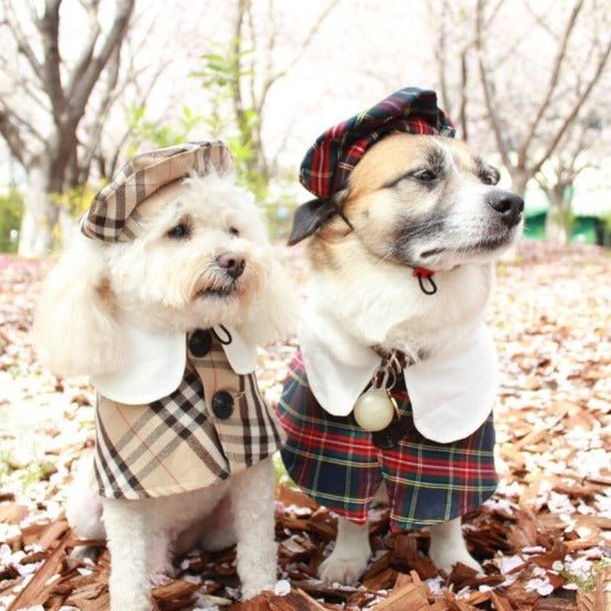 British Style Coat & Beret - Always Whiskered