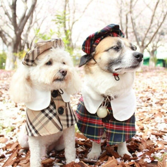 British Style Coat & Beret - Always Whiskered