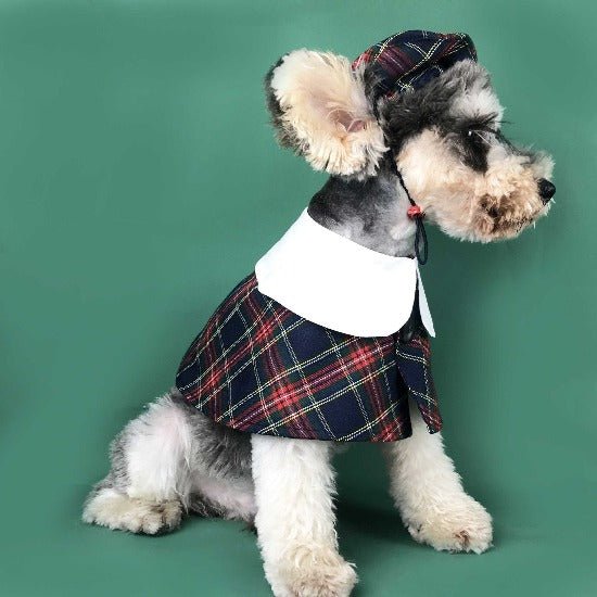 British Style Coat & Beret - Always Whiskered
