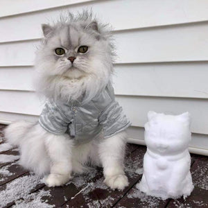 Cat Snowball Maker - Always Whiskered