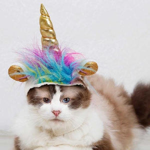Caticorn Hat - Always Whiskered