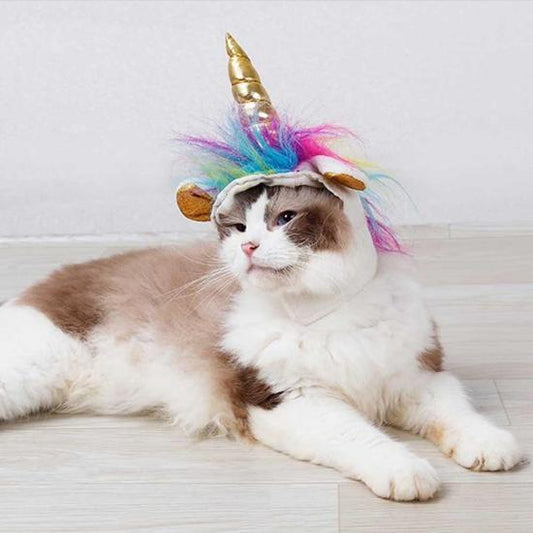 Caticorn Hat - Always Whiskered