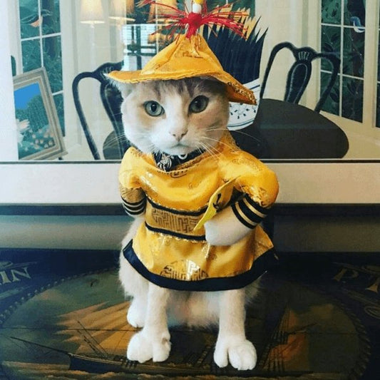 Chinese Emperor Costume - Always Whiskered