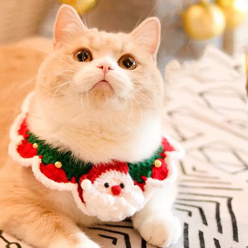 Christmas Knit Bibs - Always Whiskered