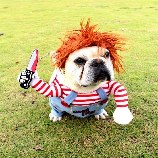 Chucky Pet Costume - Always Whiskered