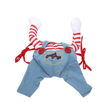 Chucky Pet Costume - Always Whiskered