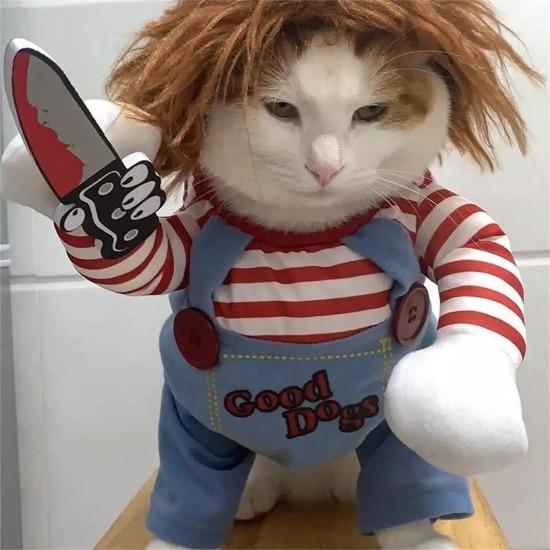 Chucky Pet Costume Child's Play - Always Whiskered – Always Whiskered
