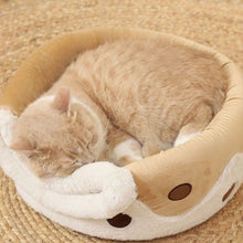 Coffee & Bobalicious Cup Bed - Always Whiskered