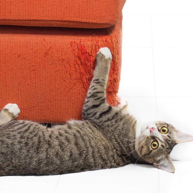 Couch Saver Film - Always Whiskered