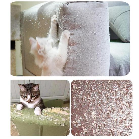 Couch Saver Film - Always Whiskered