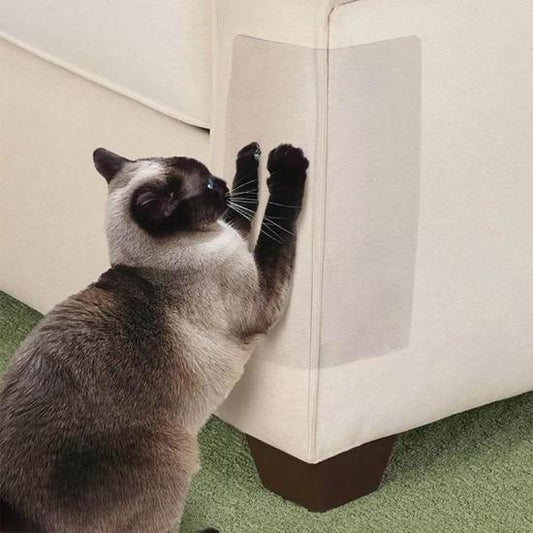 Couch Saver Film - Always Whiskered