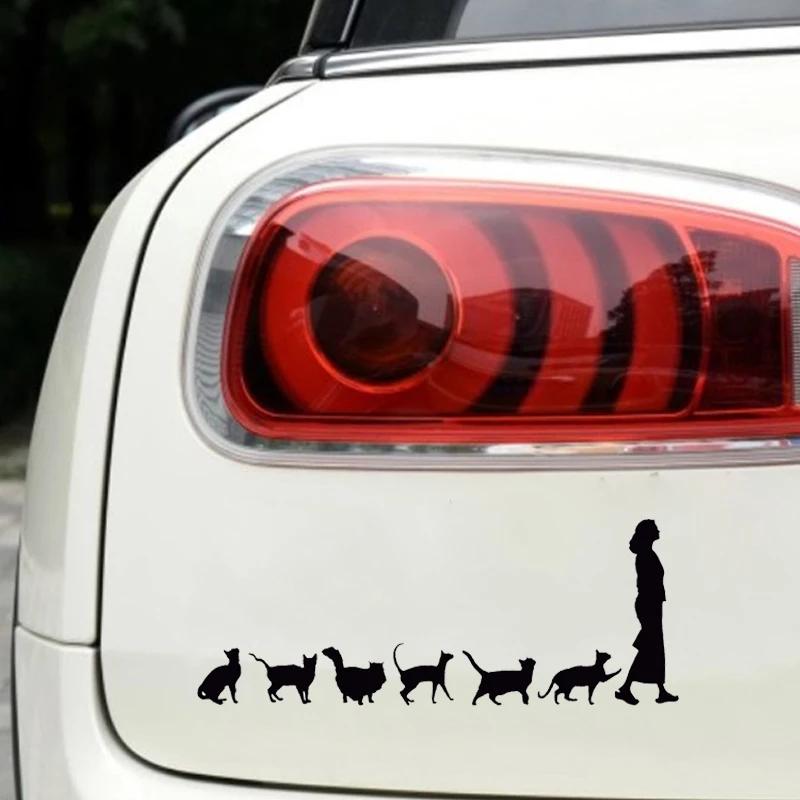 Crazy Cat Lady Decals - Always Whiskered