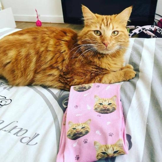 Custom Pet Face Socks - Always Whiskered