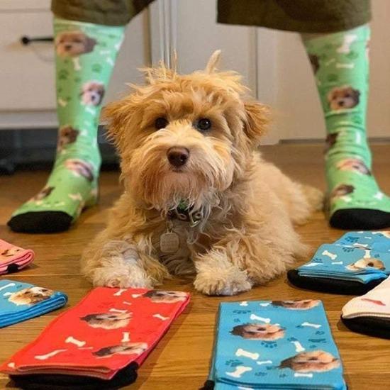 Custom Pet Face Socks - Always Whiskered