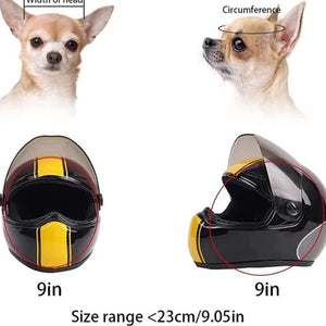 Dashing Pet Helmet - Always Whiskered