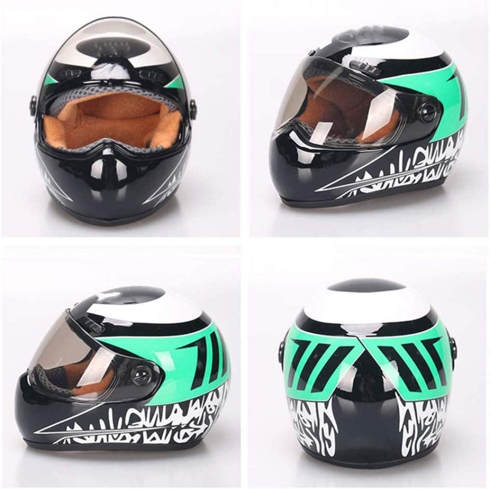 Dashing Pet Helmet - Always Whiskered