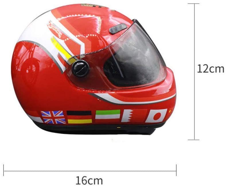 Dashing Pet Helmet - Always Whiskered