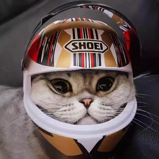 Dashing Pet Motorcycle Helmet- Always Whiskered – Always Whiskered
