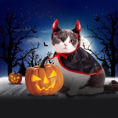 Devil-licious Costume - Always Whiskered