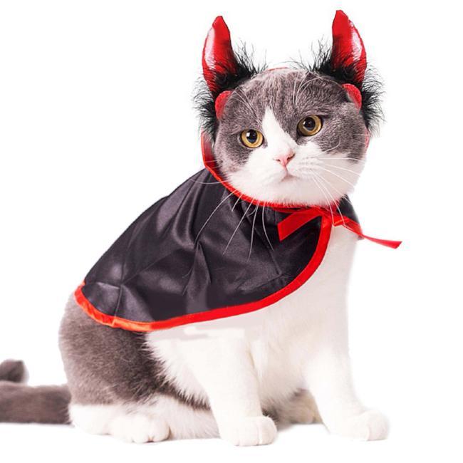 Devil-licious Costume - Always Whiskered