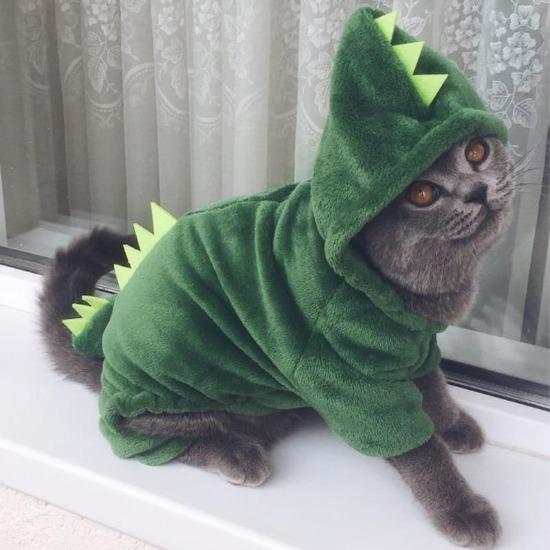 Dino Pet Jumpsuit - Always Whiskered