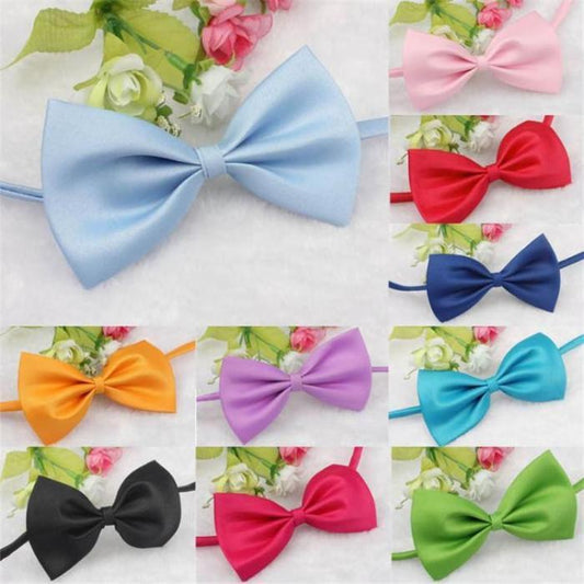 Dress Up Bowtie - Always Whiskered