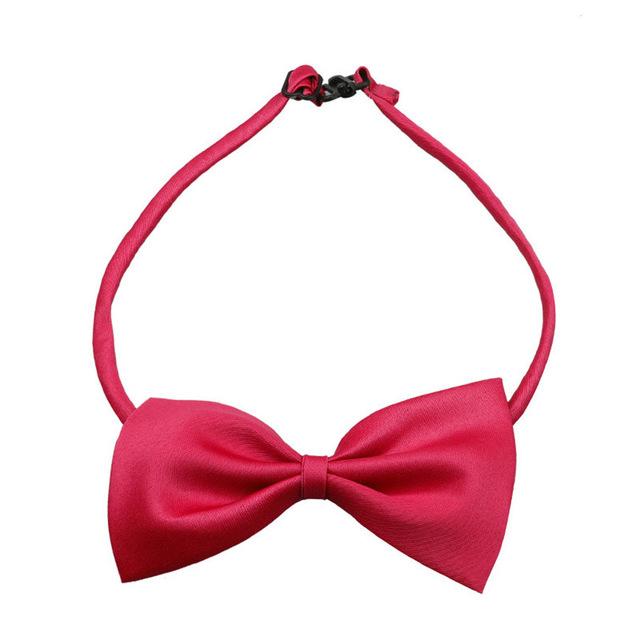 Dress Up Bowtie - Always Whiskered