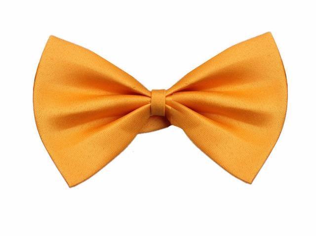 Dress Up Bowtie - Always Whiskered