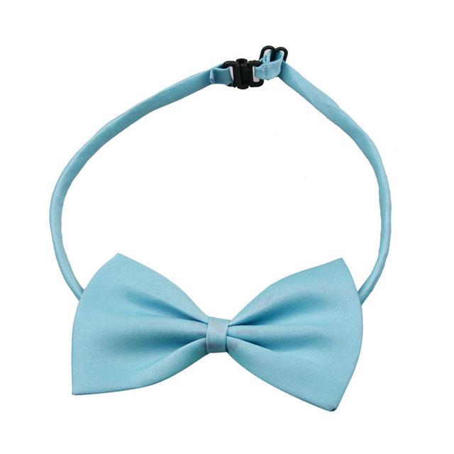 Dress Up Bowtie - Always Whiskered