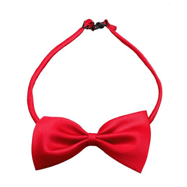 Dress Up Bowtie - Always Whiskered