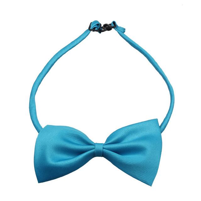 Dress Up Bowtie - Always Whiskered