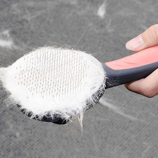 Easy Fur-Off Brush - Always Whiskered