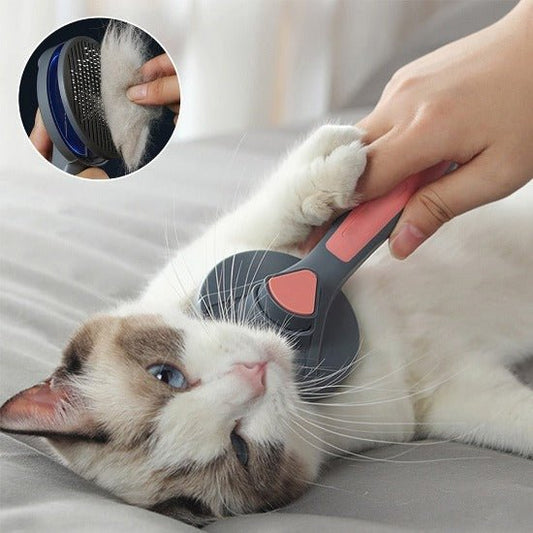 Easy Fur-Off Brush - Always Whiskered
