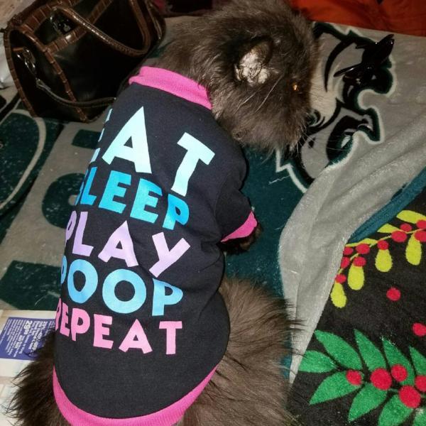 Eat Sleep Play Poop Repeat Tee - Always Whiskered