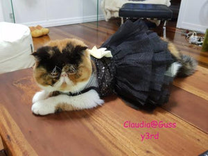 Elegant Pet Sequined Tutu Dress - Always Whiskered