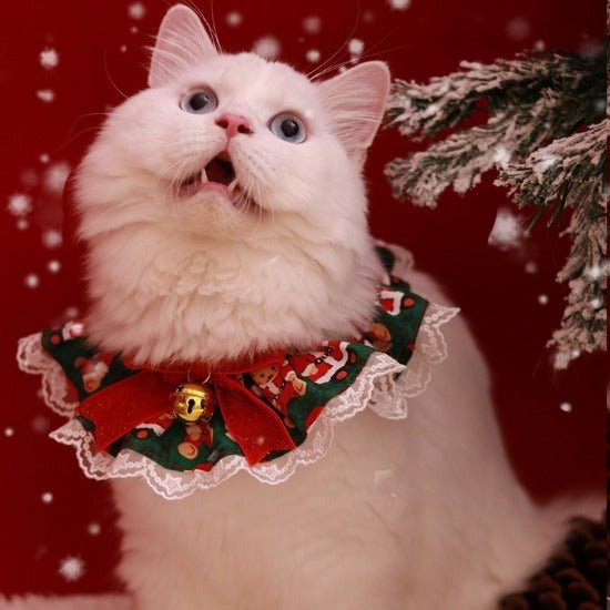 Festive Bow Teddy Collar - Always Whiskered