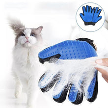 Floof Off Pet Grooming Glove - Always Whiskered