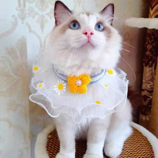 Flower Power Collar - Always Whiskered