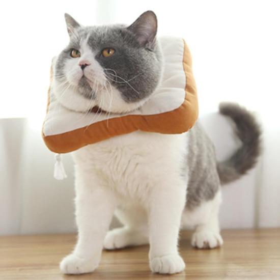 Bread cone hot sale for cats