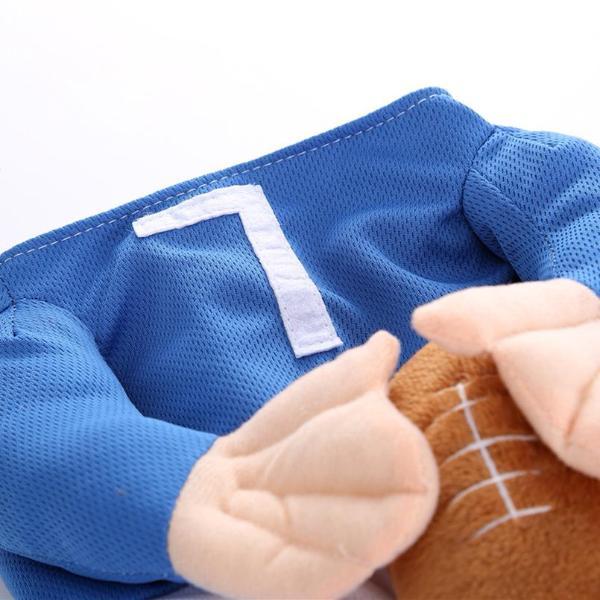 Football Costume - Always Whiskered
