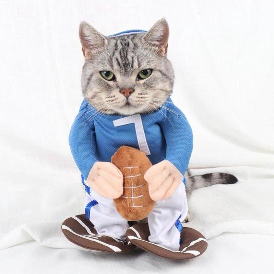 Football Costume - Always Whiskered