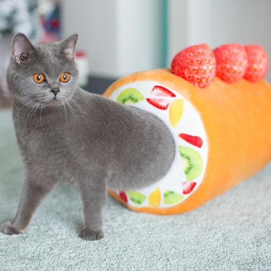 Fruit Swiss Roll Bed - Always Whiskered