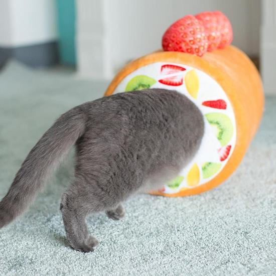 Fruit Swiss Roll Bed - Always Whiskered