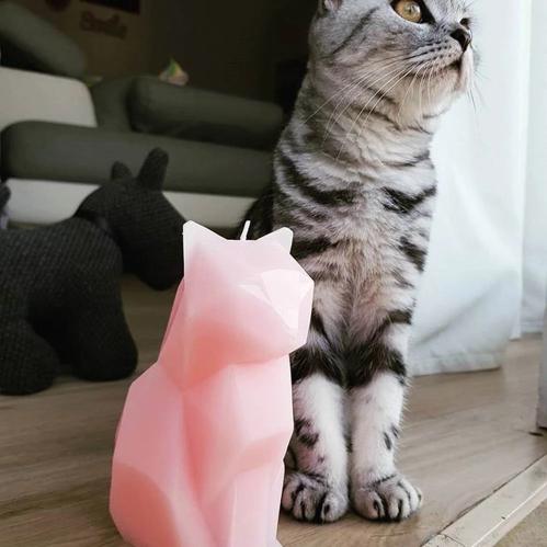 Geometric Cat Candle (skeleton inside) - Always Whiskered
