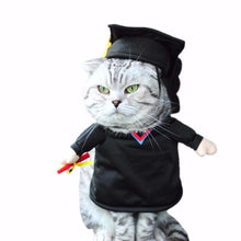 Graduate Pet Costume - Always Whiskered