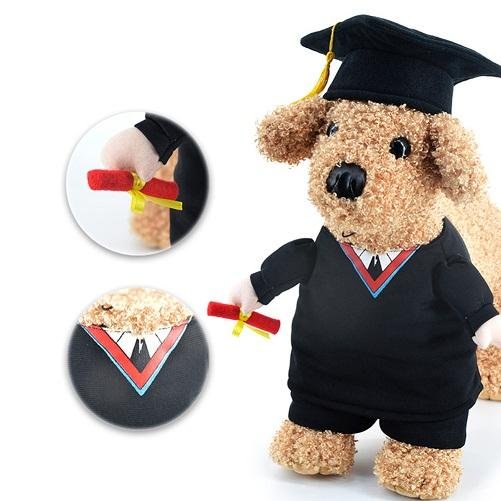 Graduate Pet Costume - Always Whiskered