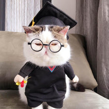 Graduate Pet Costume - Always Whiskered