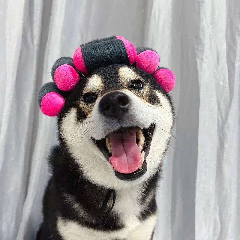 Hair Rollers Wig - Always Whiskered