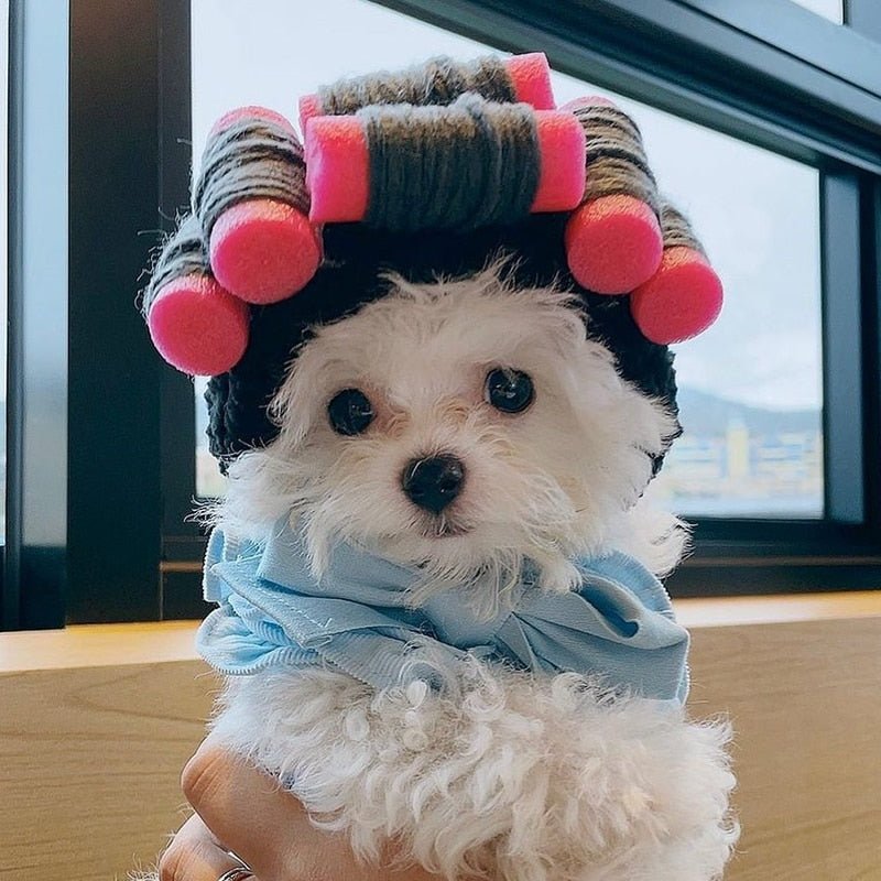 Hair Rollers Wig - Always Whiskered