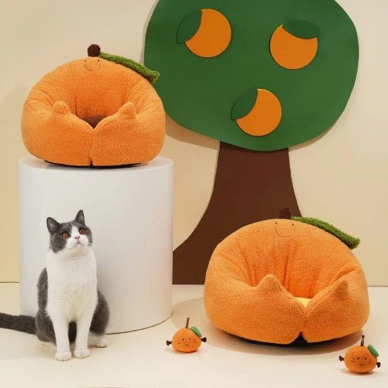 Happy Orange Bed - Always Whiskered